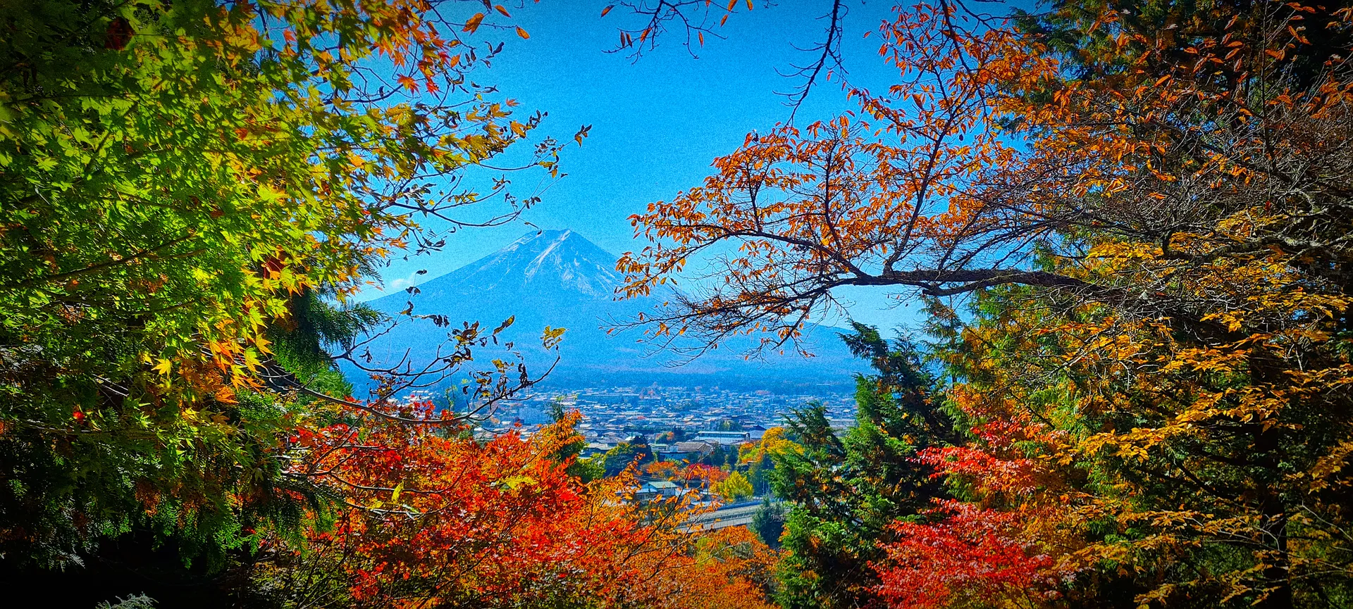 A snow-capped volcano framed by red and orange autumn leaves.