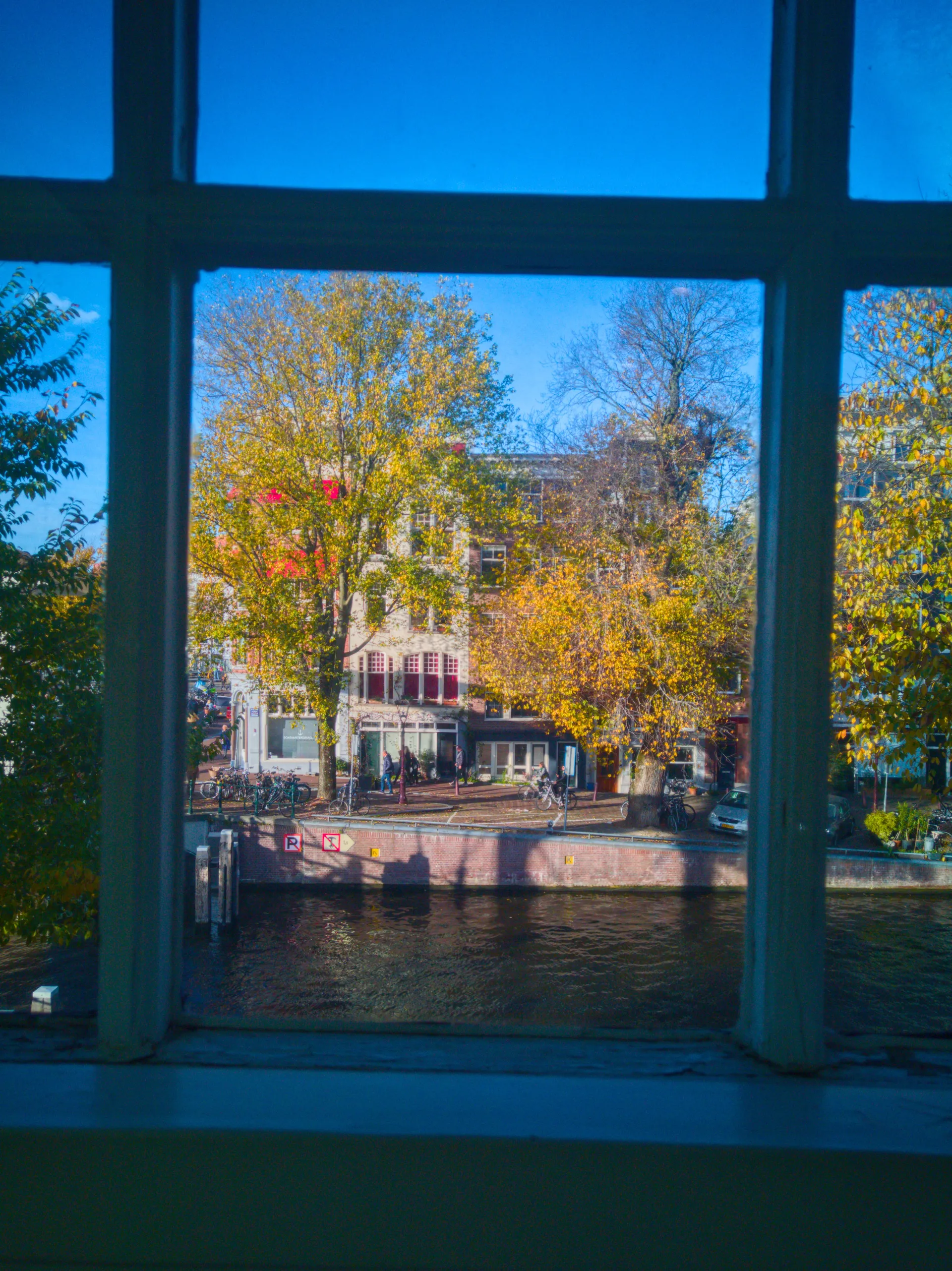 An autumn tree and canal houses seen through a window frame.