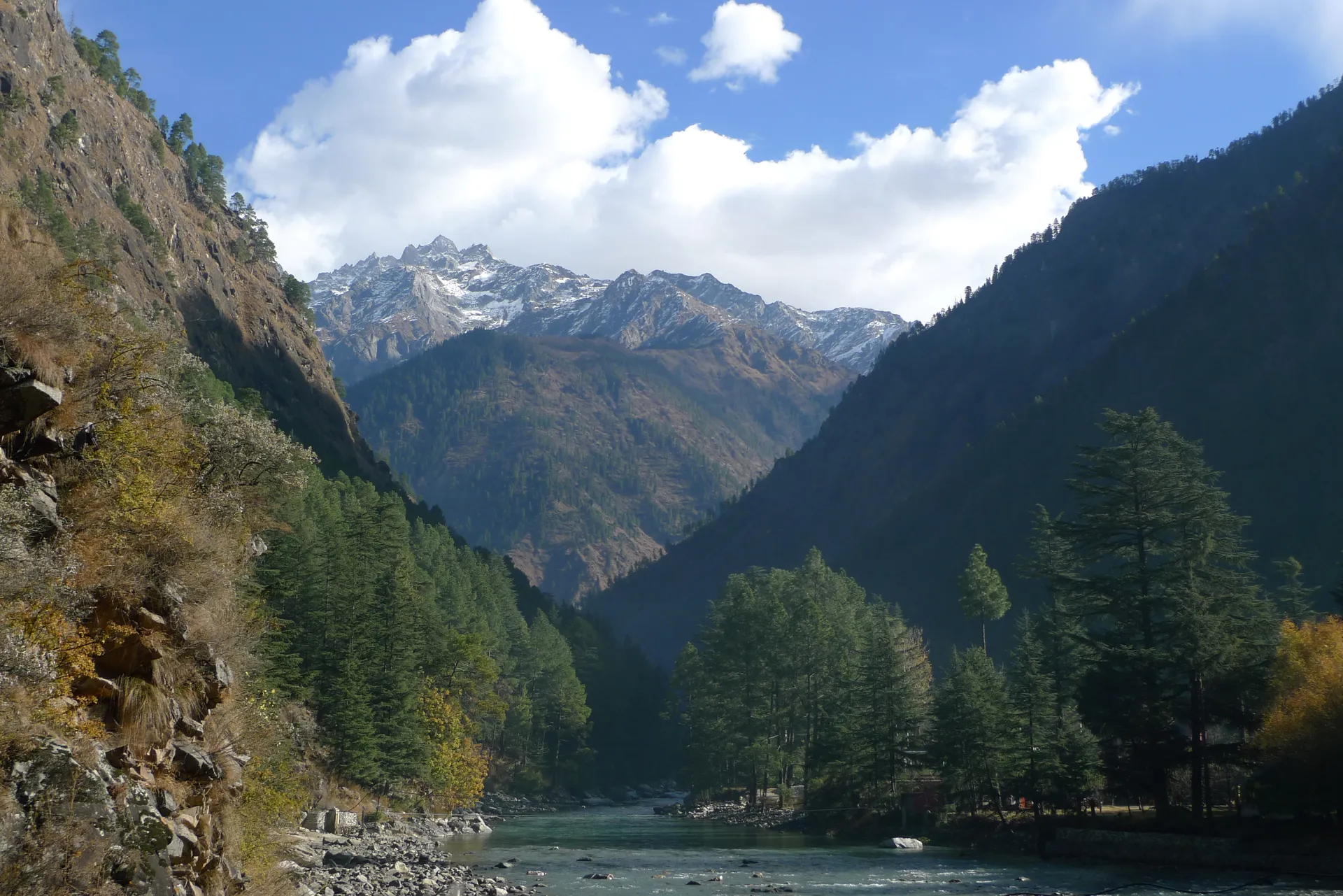 A river winding through a forested valley towards snowy peaks.