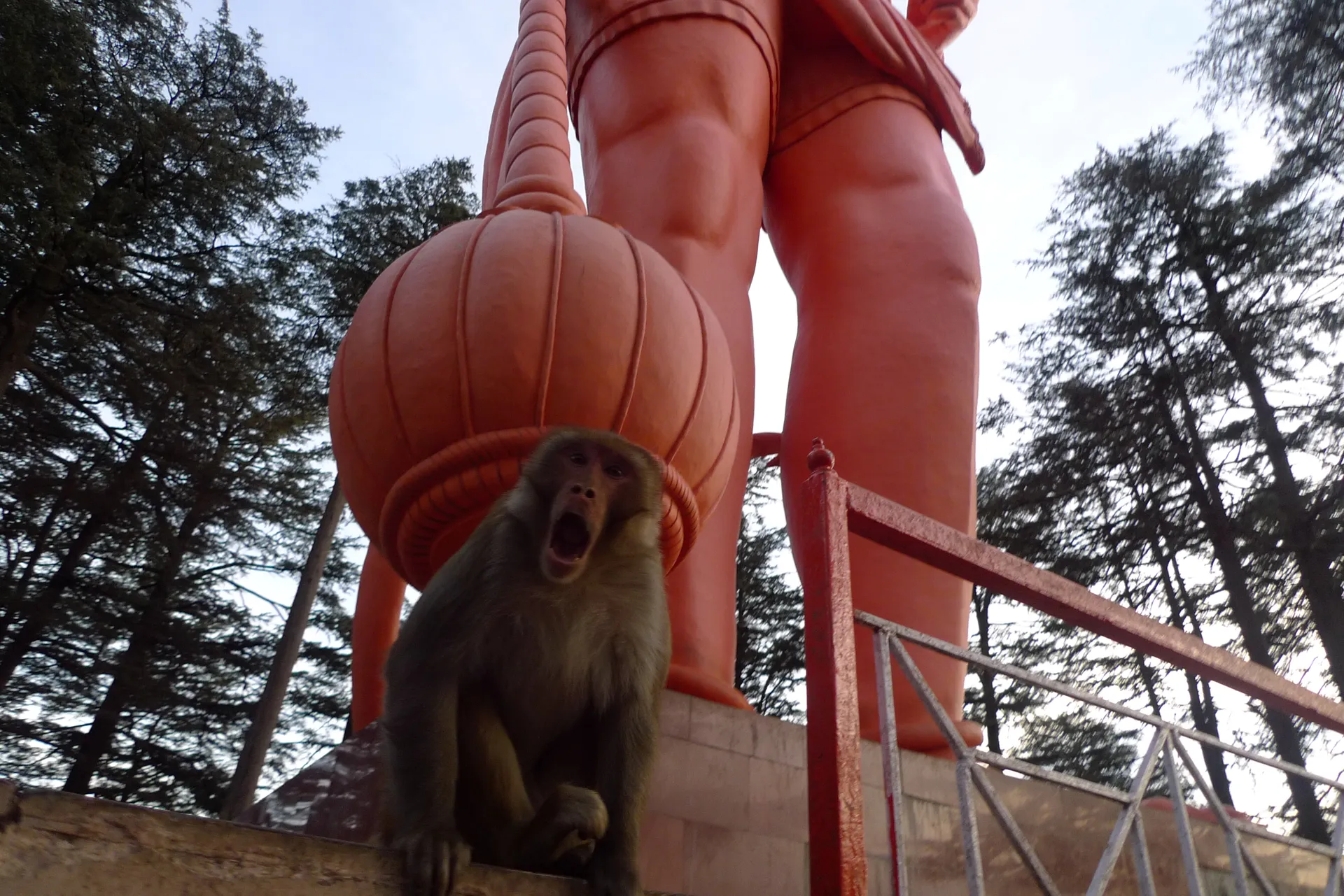 A macaque sitting at the foot of a giant orange statue among pines.